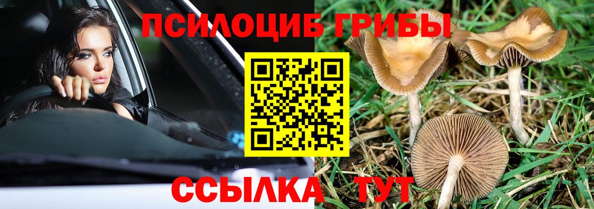 Галлюциногенные грибы Psilocybe  Галлюциногенные грибы мицелий  купить наркотик  Кохма  Вход с VPN 
